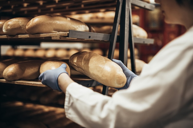 Young female worker working in bakery. She puts bread on shelf.