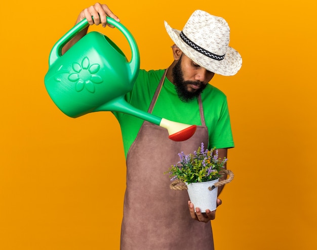 Young gardener afro-american guy wearing gardening hat watering flower in flowerpot with watering can 