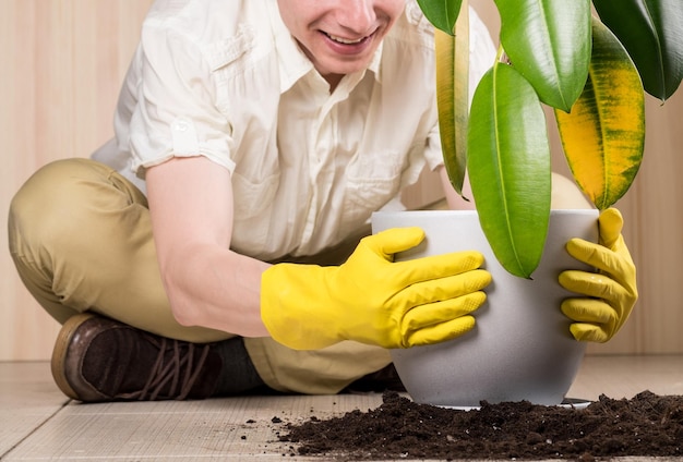 Young gardener transplanting a plant in fertile soil and new big flowerpot