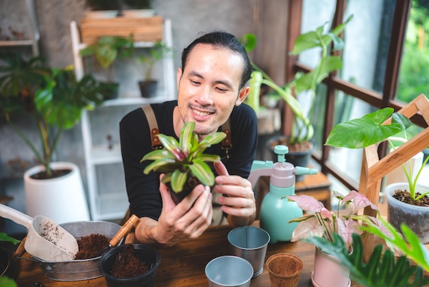 Young gardening a plant in hobby at home nature florist person lifestyle in green concept