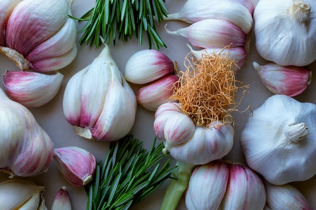 Young garlic, red onions and fresh rosemary. Concept- organic vegetables, healthy food.