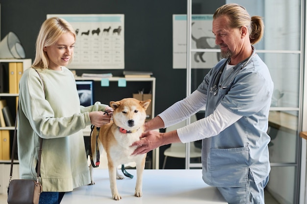 Young Girl and Her Shiba Inu at Vet