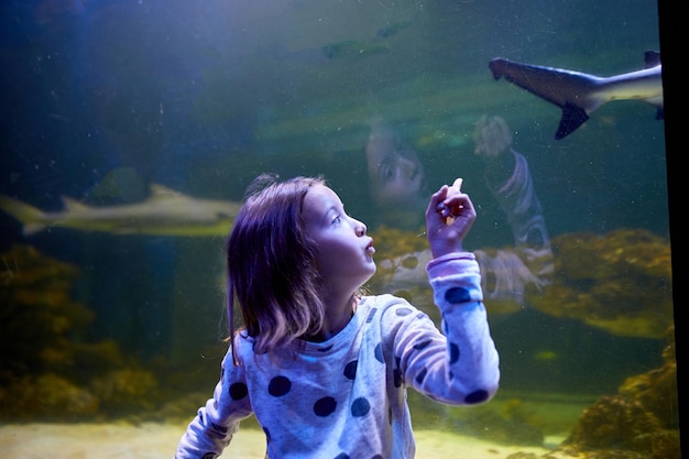 Photo young girl marvels at sharks swimming above in oceanarium tunnel