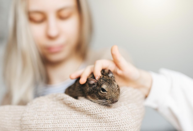 Young girl playing with small animal degu squirrel