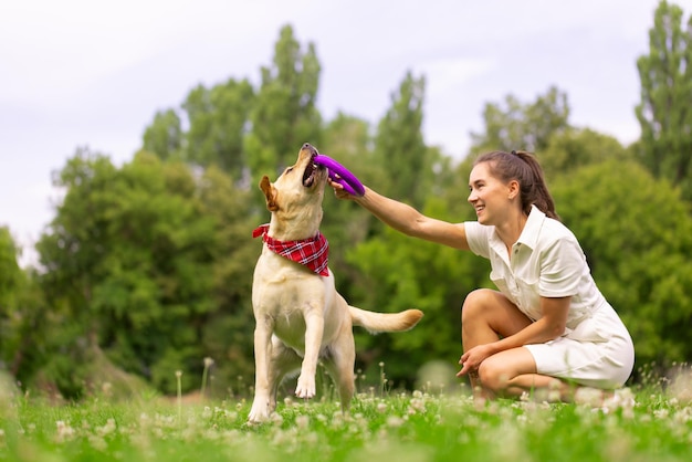 A young girl plays with a toy ring with a labrador dog on the grass