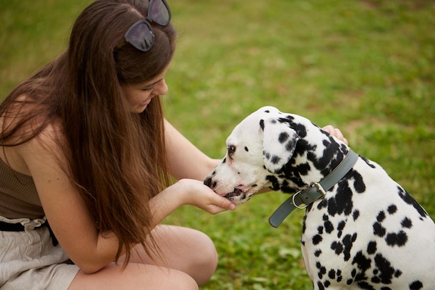 Photo a young girl treats a dalmatian dog in the park dog training concept