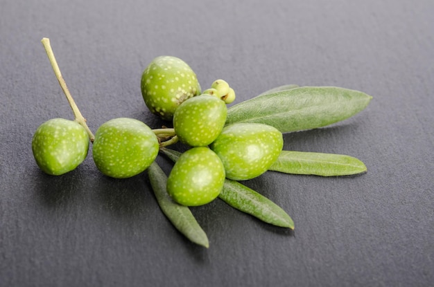 Young green olives with leaves on black background