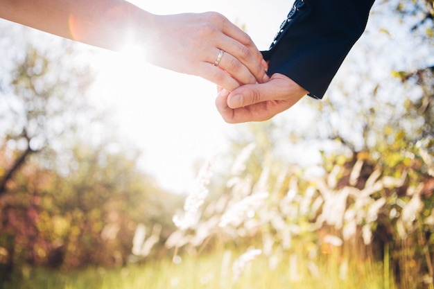 Young guy and girl holding hands outdoors in the sunset light. The bride and groom go holding hands. A loving couple walks around the field. the groom in a dark suit.