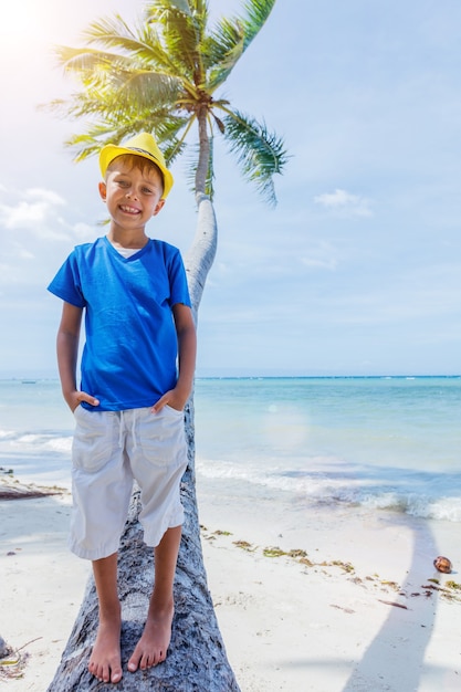 Young happy boy having fun on a palm tree in a tropical beach