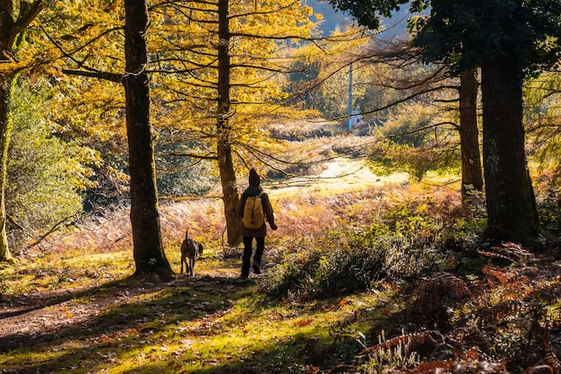 A young hiker walking with her dog in the Artikutza natural park on an autumn afternoon, Gipuzkoa. Basque Country