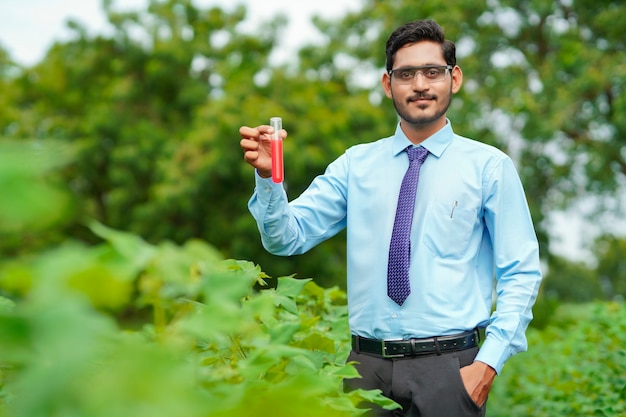 Young indian agronomist collecting sample at agriculture field.