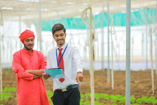 Young indian agronomist and farmer discuss at greenhouse or polyhouse