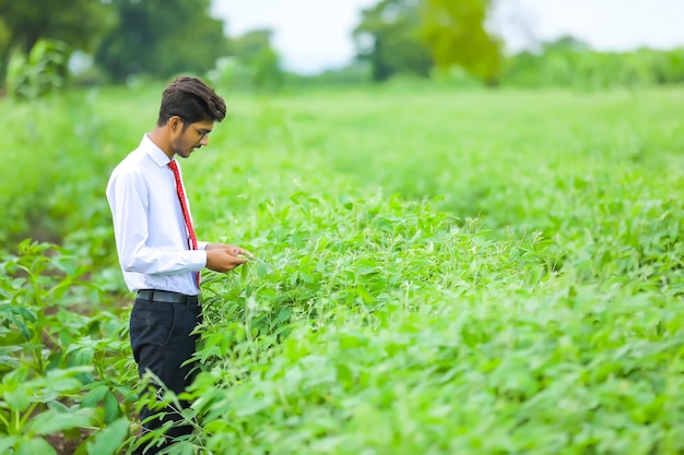 Young indian agronomist at field