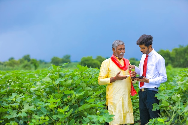 Young indian agronomist with farmer at cotton field and showing some information on mobile phone