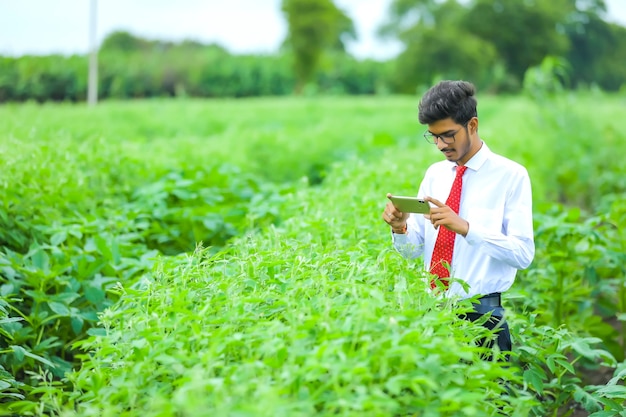 Young indian agronomist with smartphone at field