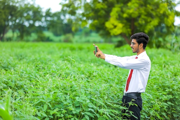 Young indian agronomist with smartphone at field