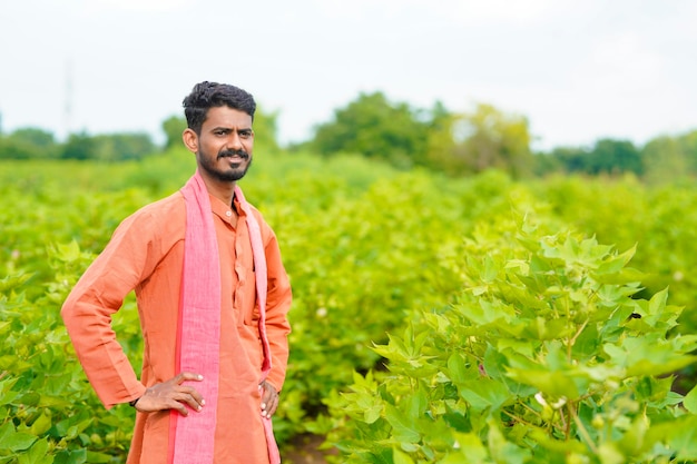 Young indian farmer at cotton agriculture field