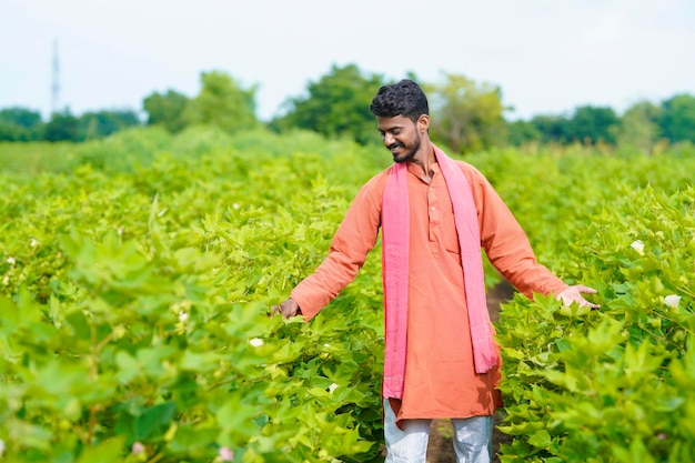 Young indian farmer at cotton agriculture field