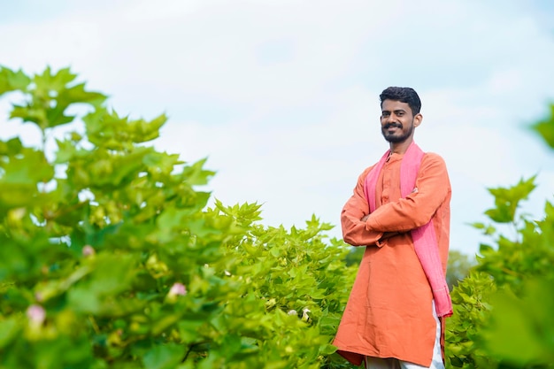 Young indian farmer at cotton agriculture field