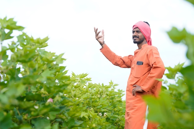 Young indian farmer at cotton agriculture field