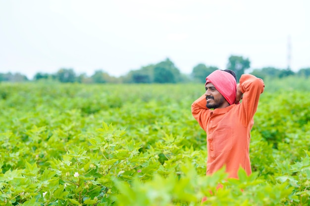 Young indian farmer at cotton agriculture field