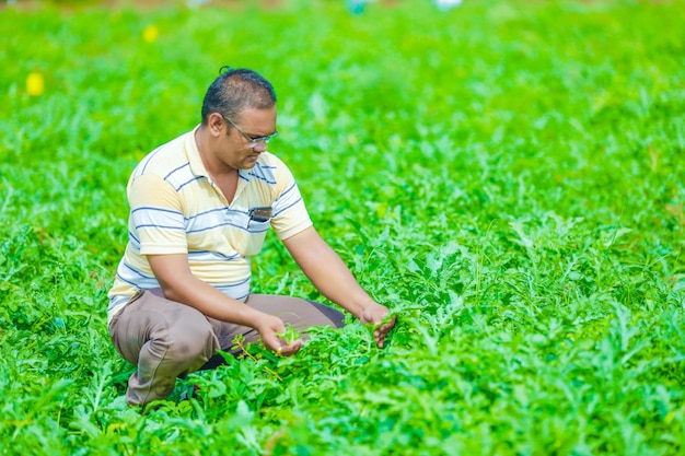 young indian farmer at field