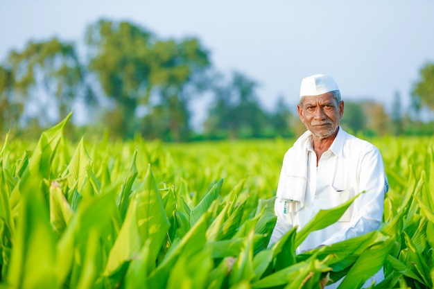 young indian farmer at field