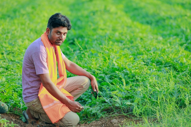 Young indian farmer at field.