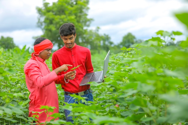 Young Indian farmer with agronomist at Cotton field