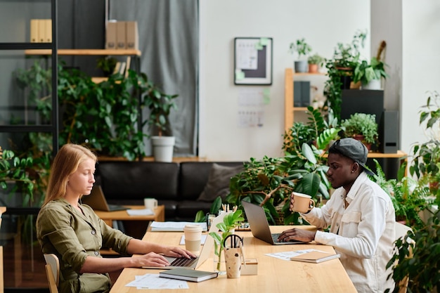 Photo young interracial employees in casualwear sitting by desk in front of laptops