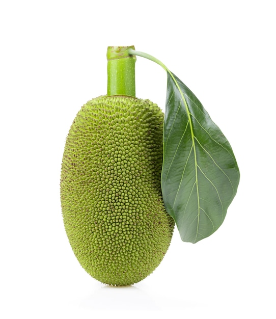 Young jackfruit isolated on white background