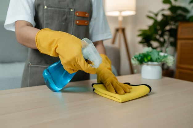 the young lady is doing housework a wife is cleaning the house of her family wearing gloves to protect her hands from cleaning spray put apron and use towel to tidy up off dust