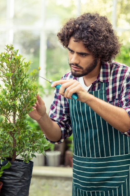 Young male gardener pruning potted plants