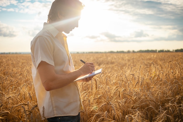 A young man agronomist in a wheat field