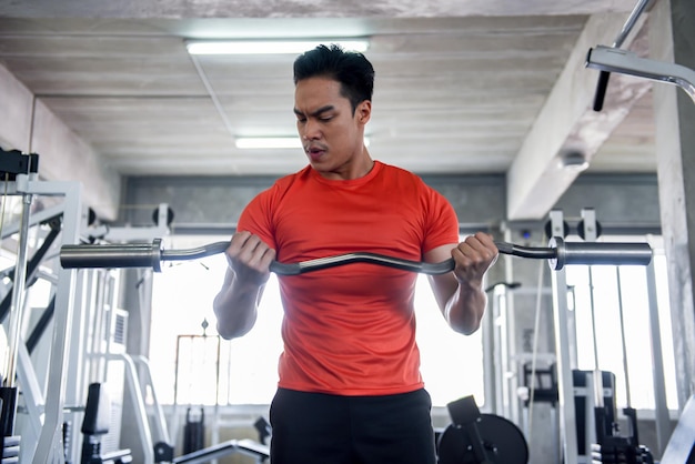 Young man exercise in the gym lifting weights enhancing health Build muscle For strength Exercise concept