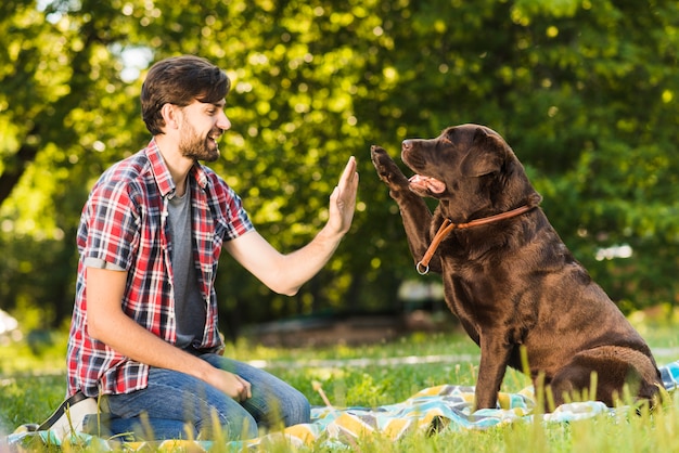 Young man giving high five to his dog in park