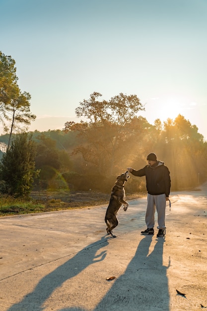 Young man having fun with his dog in nature with the rays of the morning sun love my dog