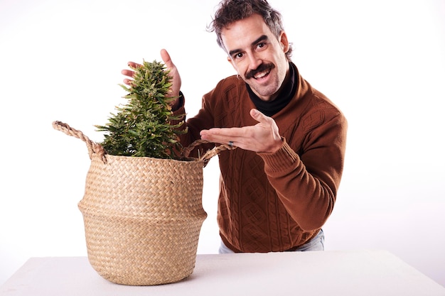 A young man pointing his finger at a cannabis plant with white background