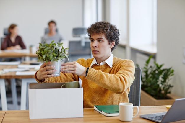 Photo young man putting plant on desk