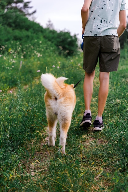 a young man walks in a summer park with a young puppy of akita breed