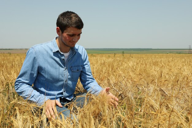 Young man with clipboard in barley field. Agriculture business