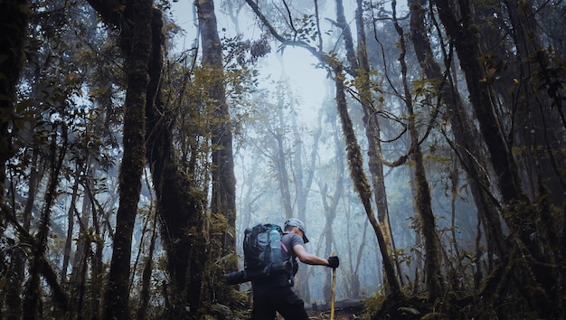 the young man with his back in the middle of the forest