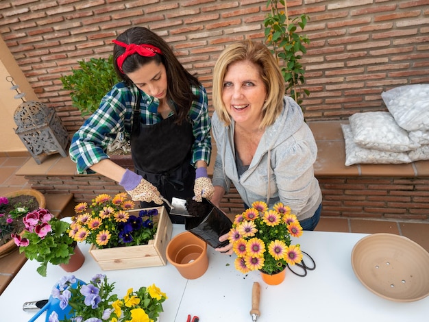 Young and mature Woman Gardening At Home taking a plant out of a pot