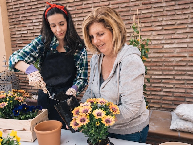 Young and mature Woman Gardening At Home