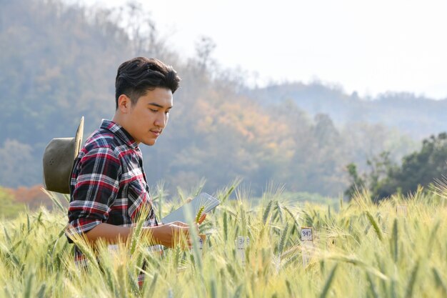 Young men use laptops Research of barley varieties in experimental plots, agricultural and technology concepts.