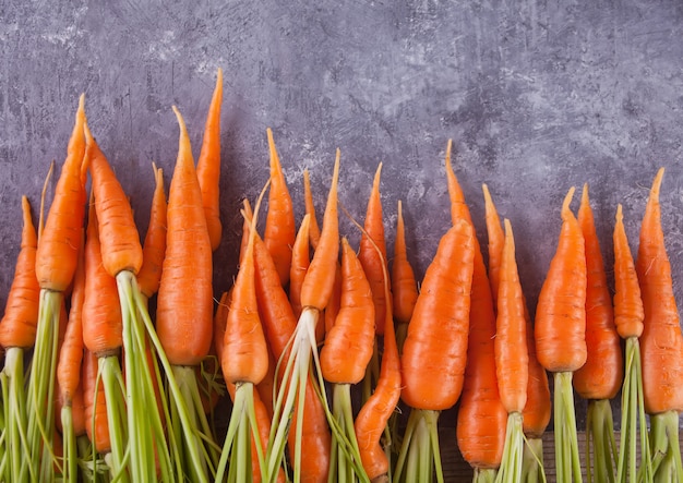 Young mini carrot 