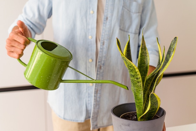 Young mixed race man with a plant in a kitchen