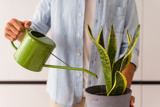 Young mixed race man with a plant in a kitchen