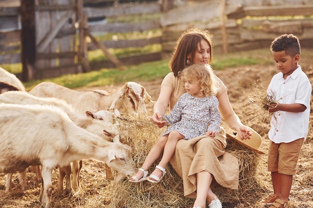 Young mother with her daughter is on the farm at summertime with goats