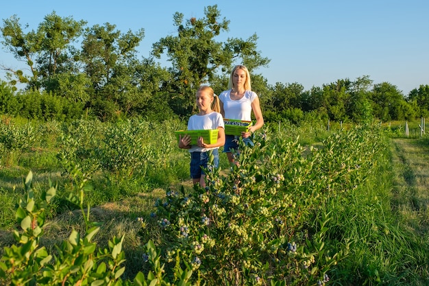 Young mother with her daughter picking blueberries on organic farm